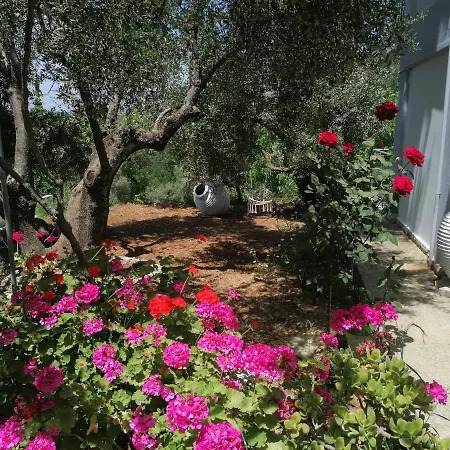 Alexander 4 * Spartia (Kefalonia)